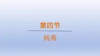 初中生物人教版(2024)七年级上册(2024)第四节 病毒图片ppt课件