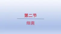 人教版（2024）七年级上册（2024）第二节 细菌教学演示ppt课件