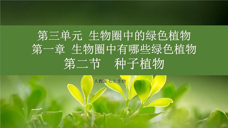 初中 生物 人教版(2024) 七年级上册第二节 种子植物 课件第1页
