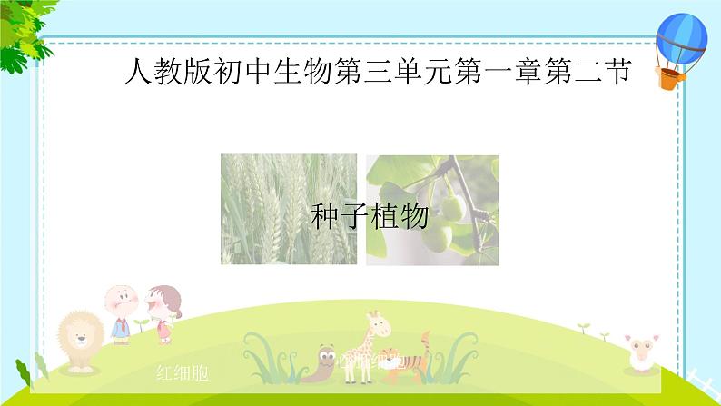 初中 生物 人教版(2024) 七年级上册第二节 种子植物 课件第1页