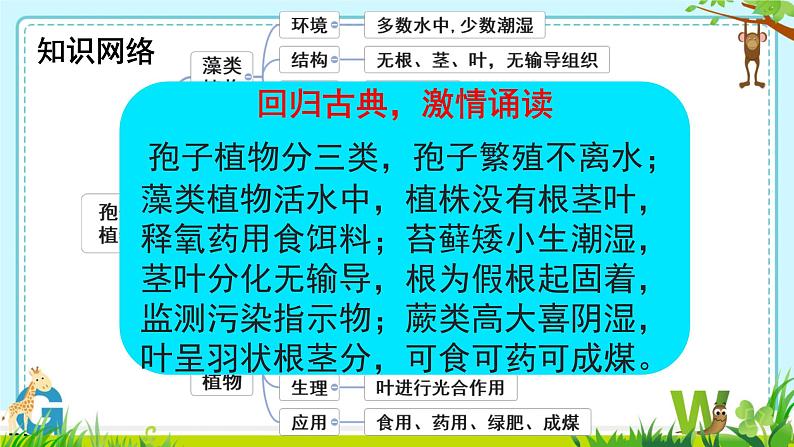 初中 生物 人教版(2024) 七年级上册第二节 种子植物 课件第2页