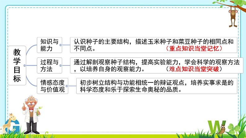 初中 生物 人教版(2024) 七年级上册第二节 种子植物 课件第3页