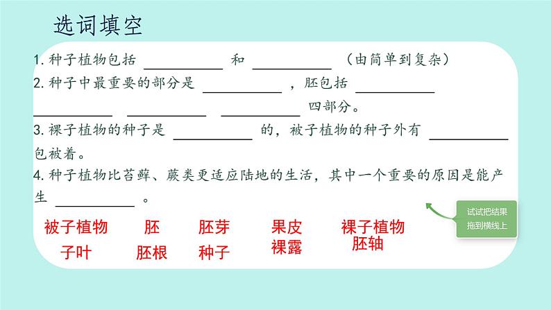 初中 生物 人教版(2024) 七年级上册第二节 种子植物 课件第4页