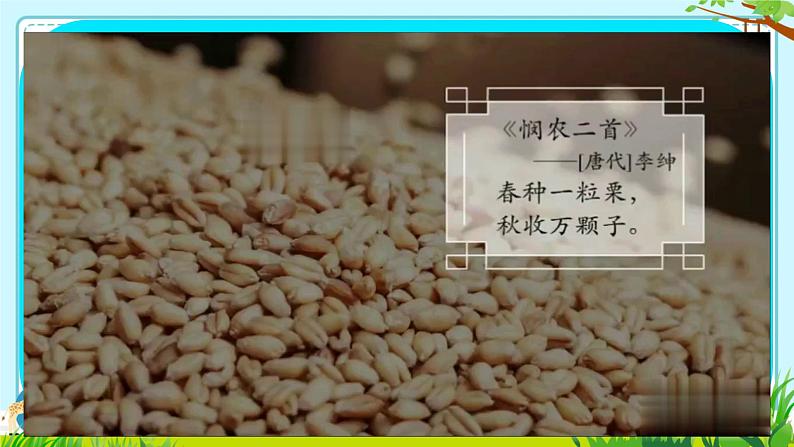 初中 生物 人教版(2024) 七年级上册第二节 种子植物 课件第6页