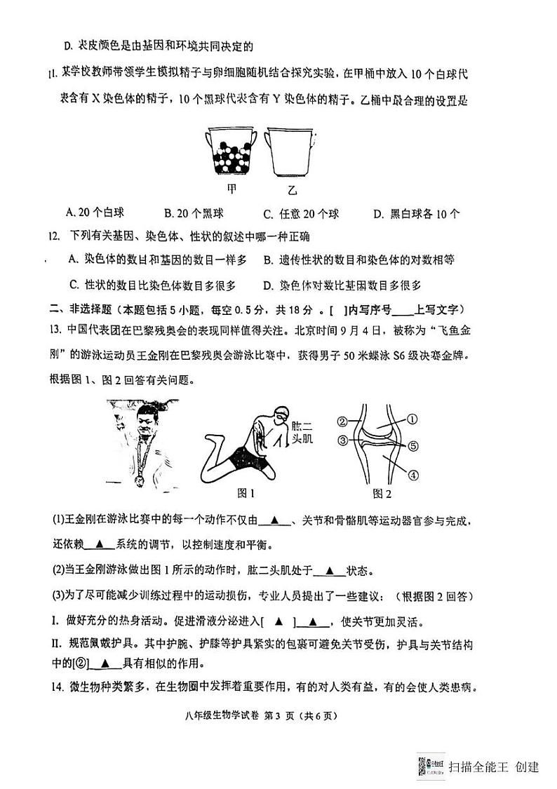 辽宁省抚顺市新抚区2024-2025学年八年级上学期12月期末生物试题第3页