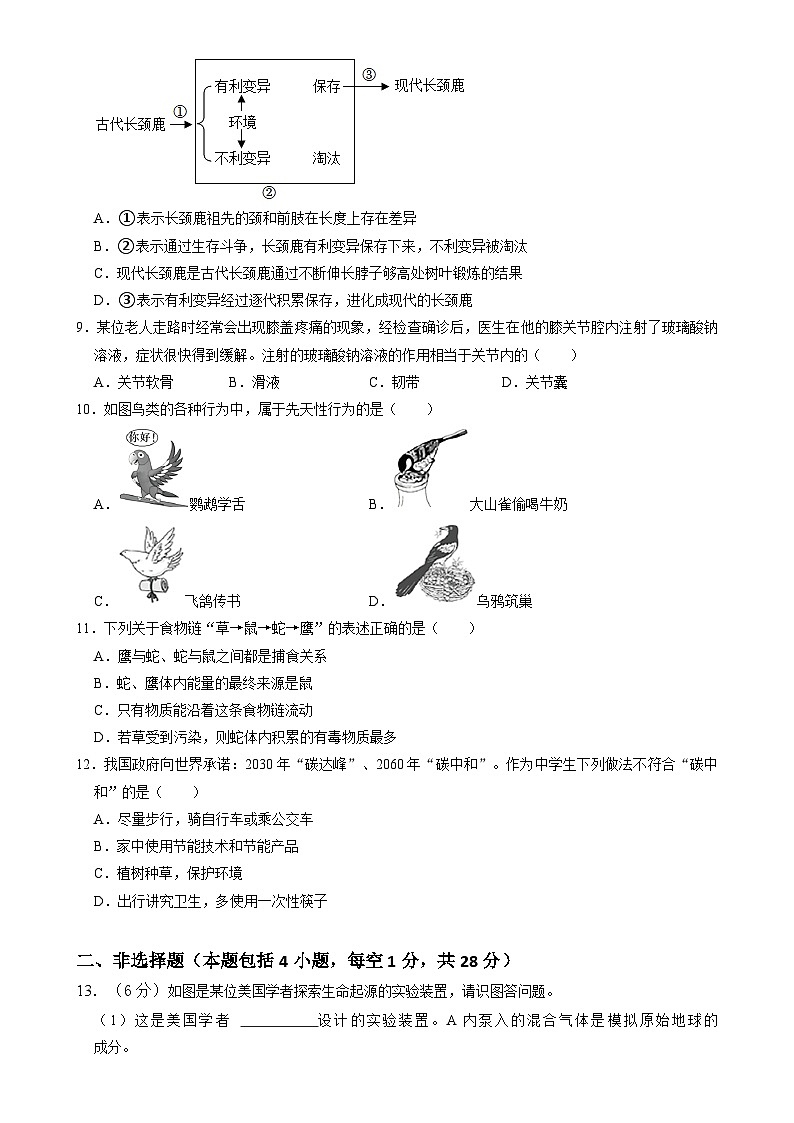 辽宁省鞍山市海城市西部集团2024-2025学年八年级上学期12月月考生物试题-A4第2页