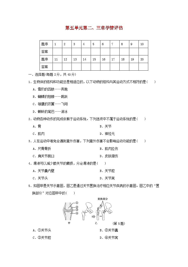 2024八年级生物上册第五单元生物圈中的其他生物第二三章学情评估试卷(附答案人教版)第1页