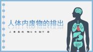 人教版（2024）七年级下册第五章 人体内废物的排出课文内容课件ppt