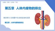 人教版（2024）七年级下册第五章 人体内废物的排出课前预习ppt课件