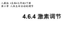 人教版（2024）七年级下册第四节 激素调节授课ppt课件