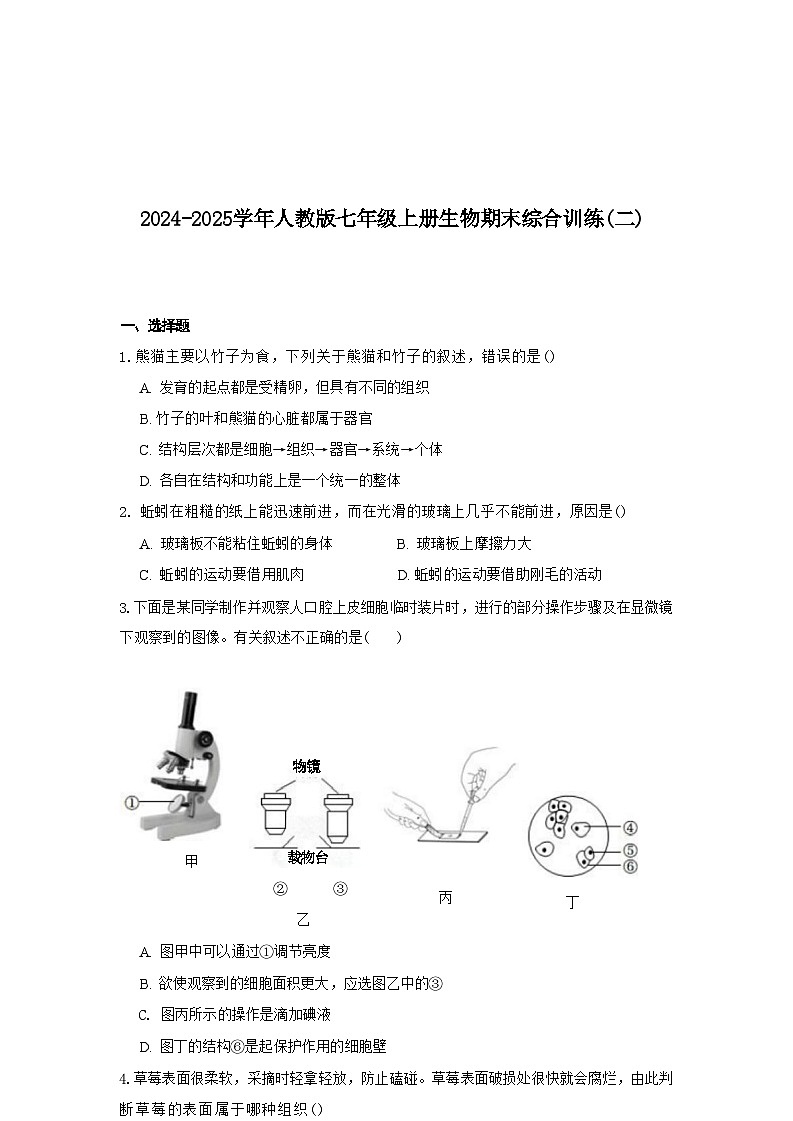2024-2025学年人教版七年级上册生物期末综合训练(二)(含答案)第1页