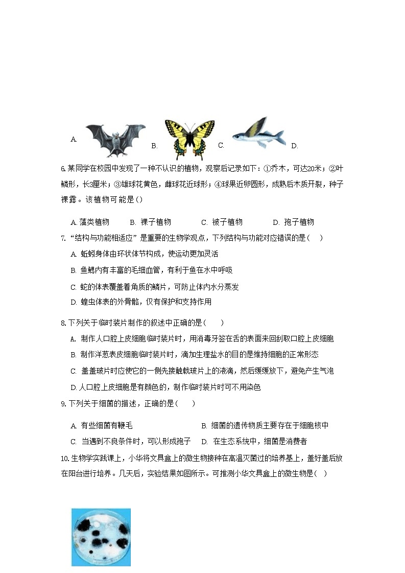 2024-2025学年人教版七年级上册生物期末综合训练(二)(含答案)第3页