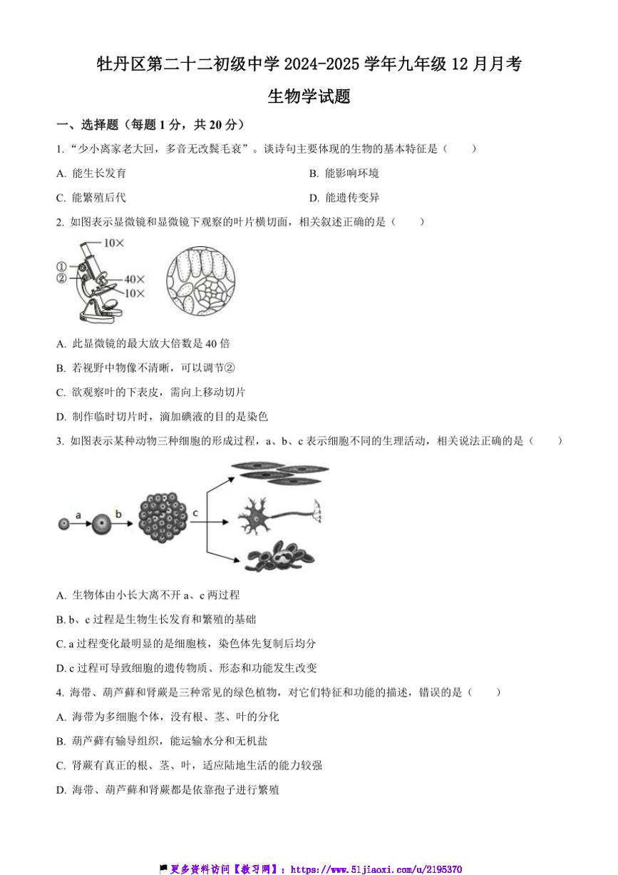 2024～2025学年山东省菏泽市牡丹区第二十二初级中学九年级上12月月考生物试卷(含答案)