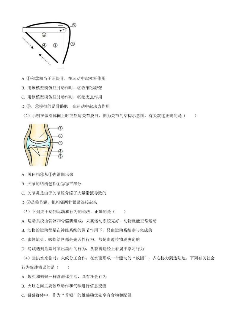 2024~2025学年山东省临沂市河东区八年级(上)期中生物试卷(含答案)第3页