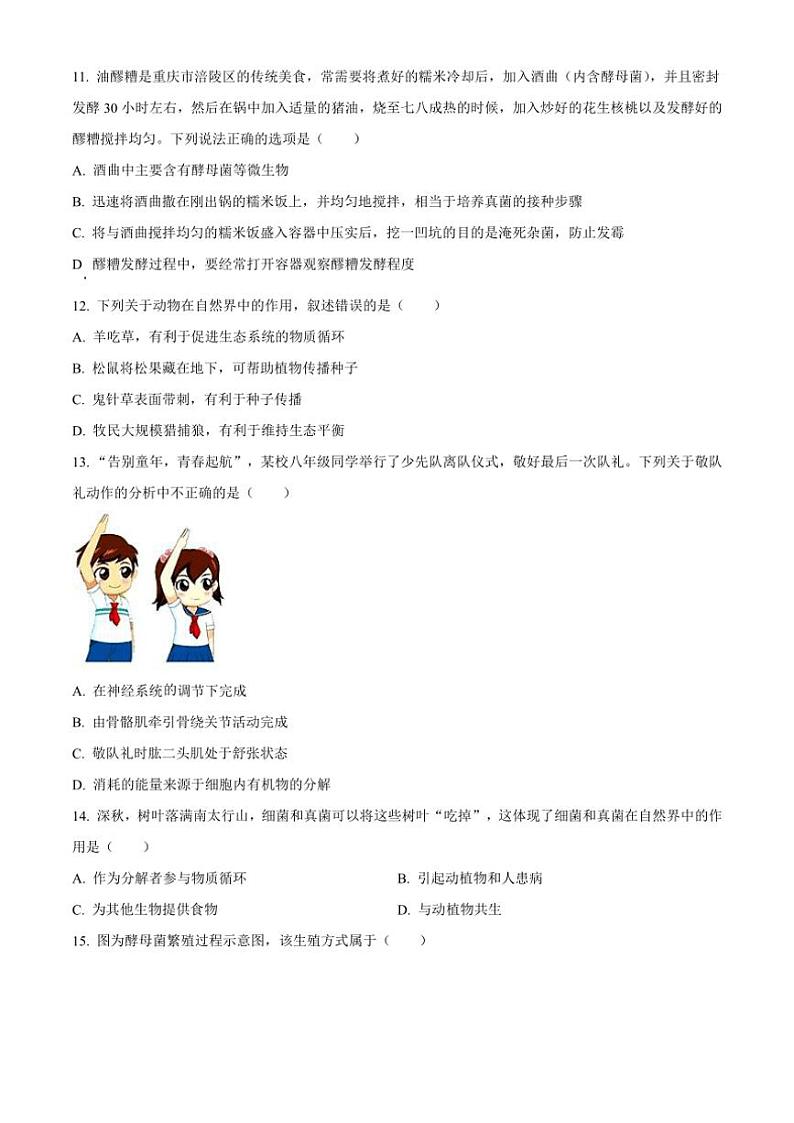2024~2025学年重庆市巴南区市实验教育集团八年级上12月月考生物试卷(含答案)第3页
