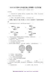 2024～2025学年辽宁省工程技术大学附属中学七年级(上)11月第一次月考生物试卷(含答案)