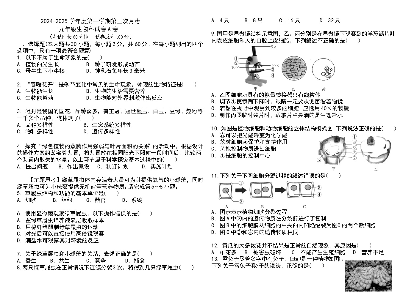 广东省揭阳普宁市2024-2025学年九年级上学期第三次月考生物试卷