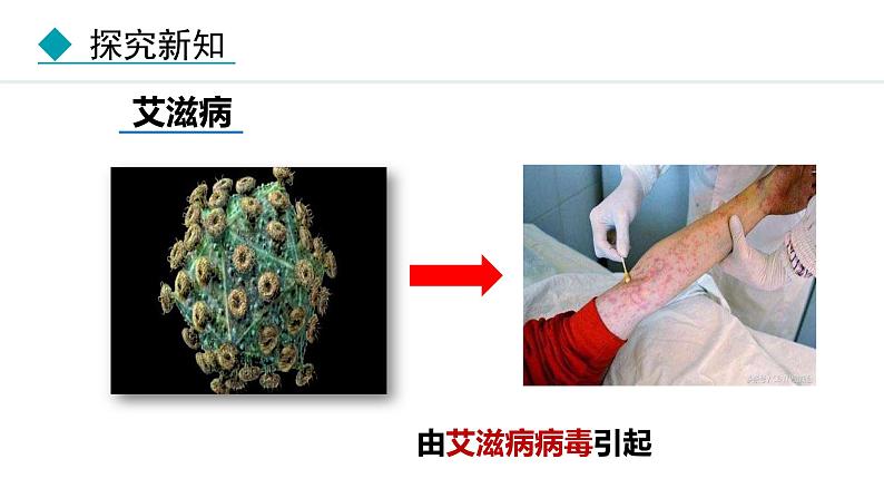 人教版(2024)八年级生物下册8.1.1传染病及其预防精品课件第6页