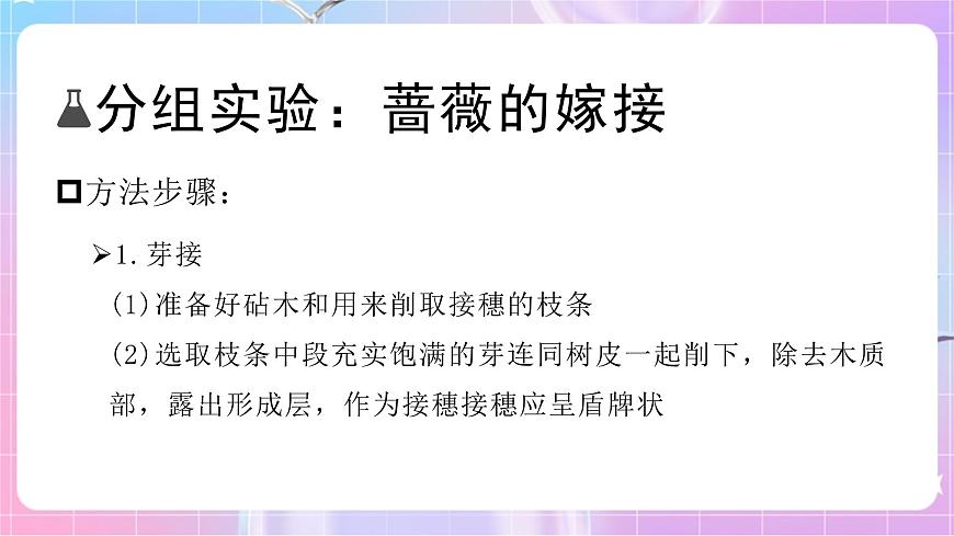 4.1.7植物的無(wú)性生殖 課件-濟(jì)南版生物八年級(jí)上冊(cè)第8頁(yè)