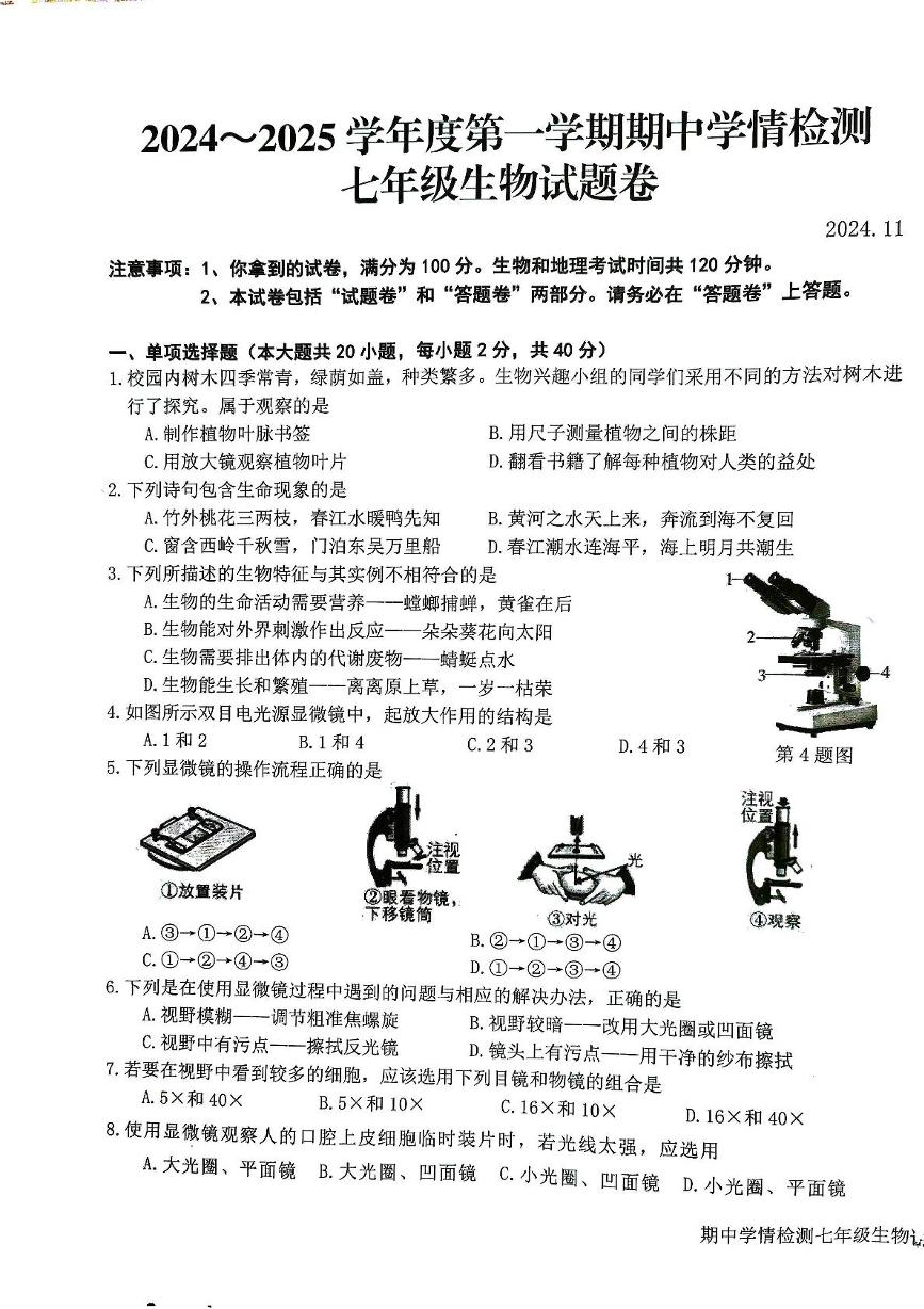 安徽省安庆市怀宁县2024—2025学年七年级上学期生物期中考试试卷