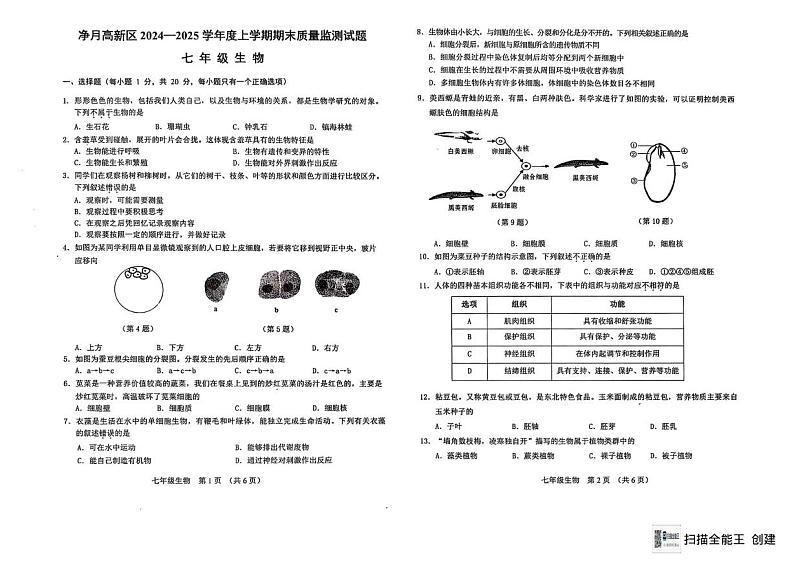 吉林省长春市净月区2024-2025学年度七上期末统考-生物试题第1页