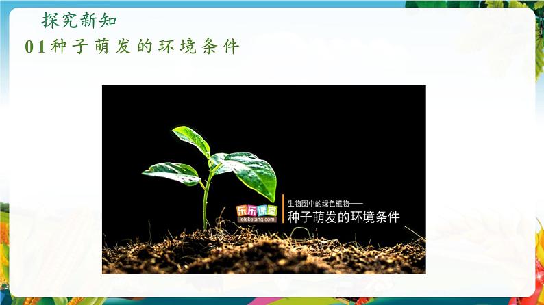 3.1.1 种子的萌发(课件)第5页