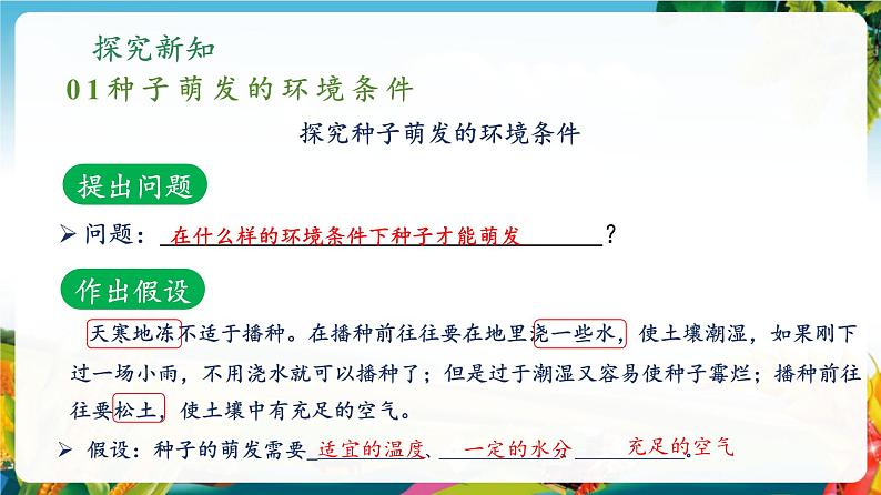 3.1.1 种子的萌发(课件)第6页