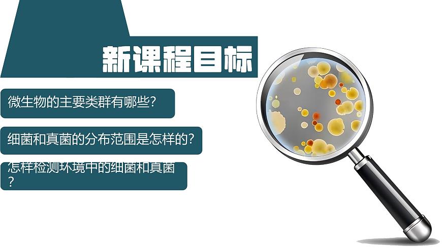 初中  生物  人教版（2024）  七年級上冊（2024）第一節(jié) 微生物的分布 課件第4頁