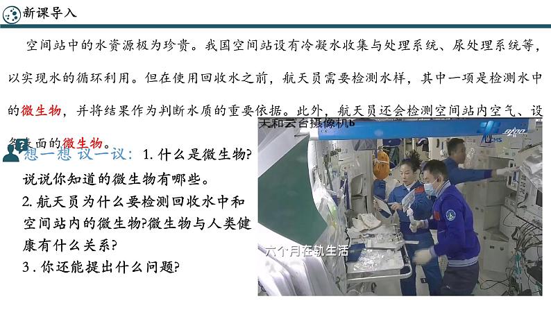 初中 生物 人教版(2024) 七年级上册(2024)第一节 微生物的分布 课件第6页