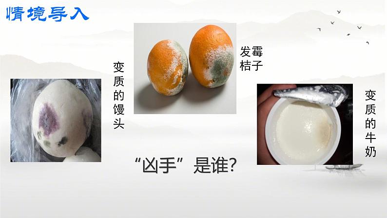 初中 生物 人教版(2024) 七年级上册(2024)第一节 微生物的分布 课件第1页