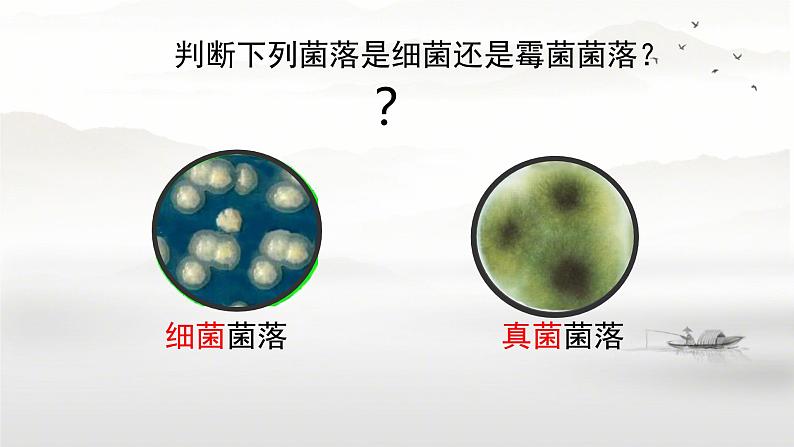 初中 生物 人教版(2024) 七年级上册(2024)第一节 微生物的分布 课件第6页