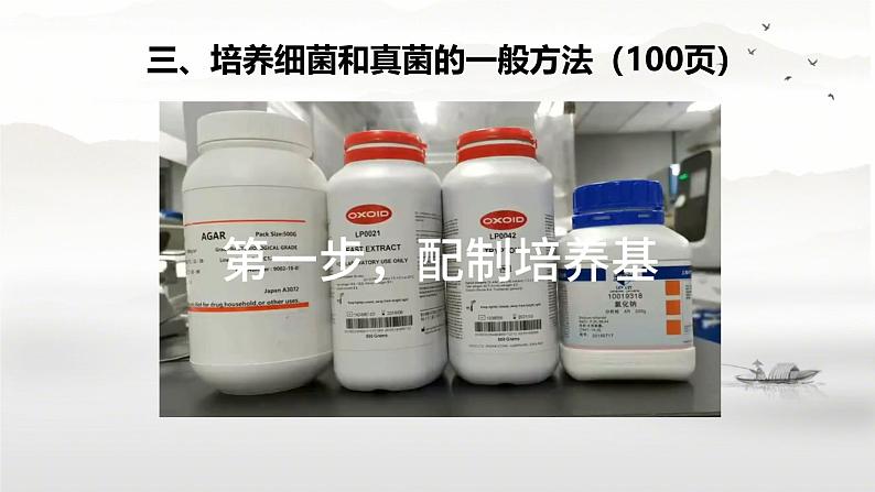 初中 生物 人教版(2024) 七年级上册(2024)第一节 微生物的分布 课件第8页
