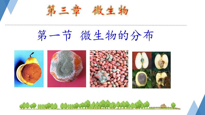 初中 生物 人教版(2024) 七年级上册(2024)第一节 微生物的分布 课件第1页