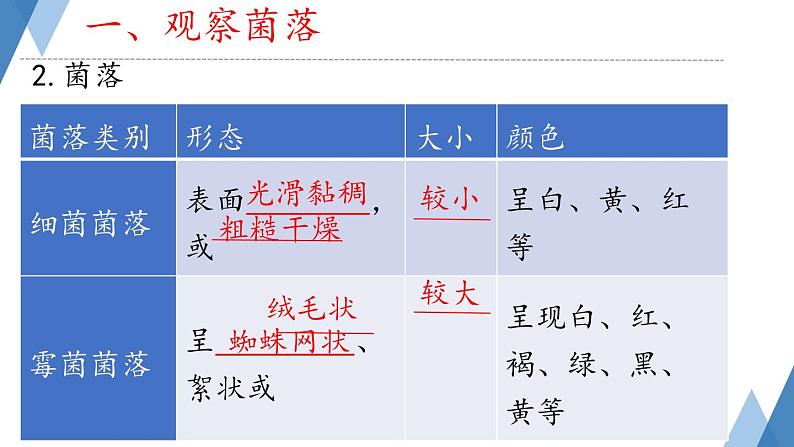 初中 生物 人教版(2024) 七年级上册(2024)第一节 微生物的分布 课件第5页