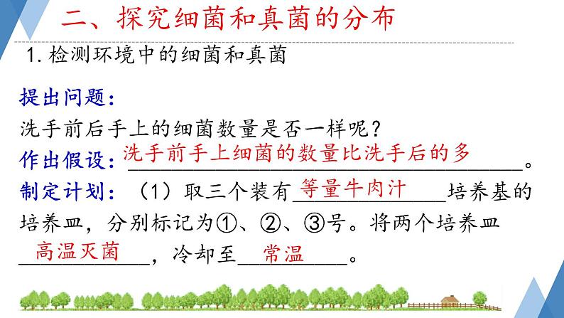 初中 生物 人教版(2024) 七年级上册(2024)第一节 微生物的分布 课件第8页