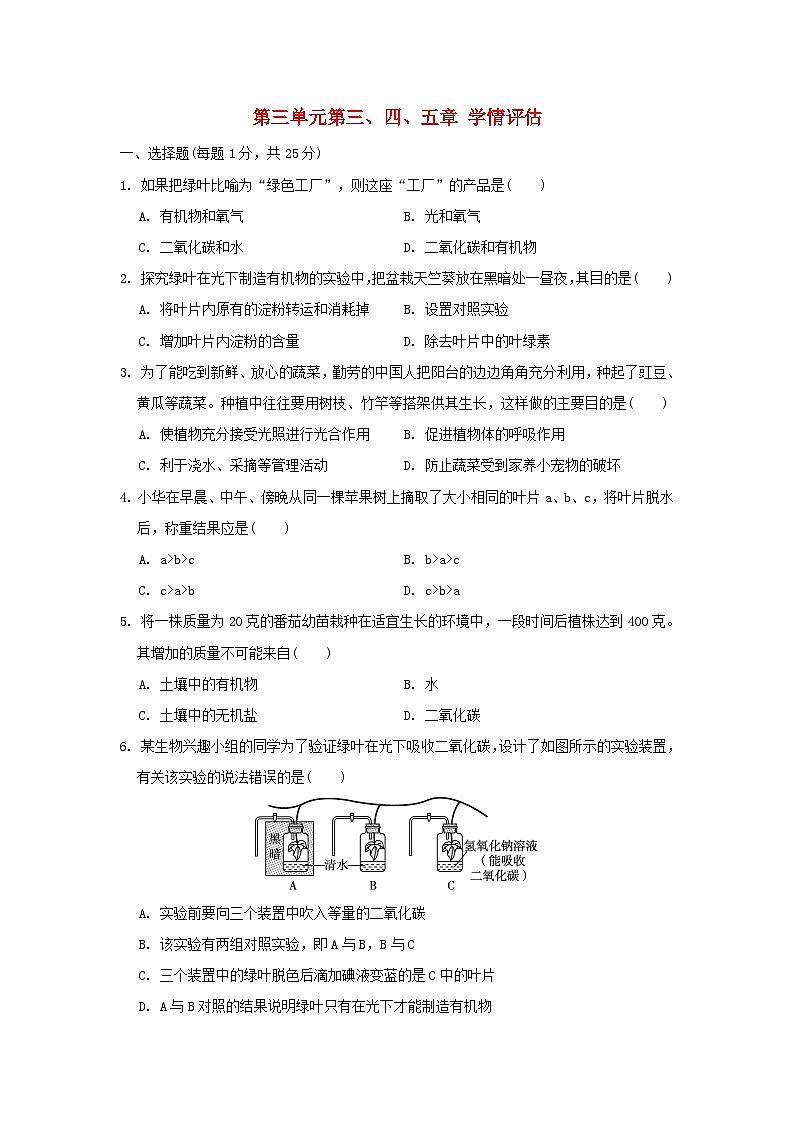 2024八年级生物上册第三单元植物的生活第三四五章学情评估试卷(附答案冀少版)第1页