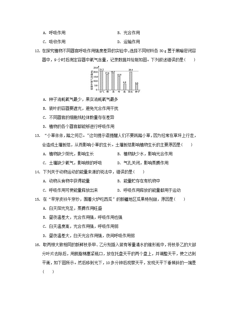 2024八年级生物上册第三单元植物的生活第三四五章学情评估试卷(附答案冀少版)第3页