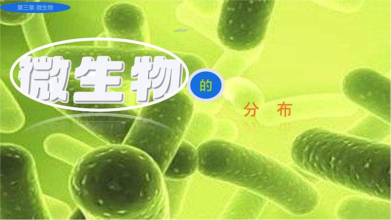 初中 生物 人教版(2024) 七年级上册(2024)第一节 微生物的分布 课件第1页