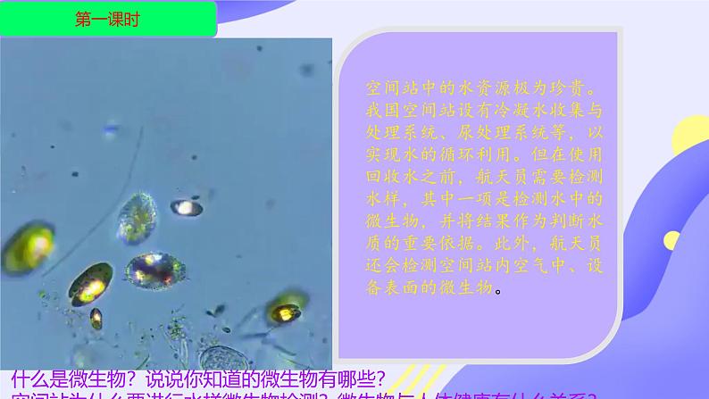 初中 生物 人教版(2024) 七年级上册(2024)第一节 微生物的分布 课件第2页