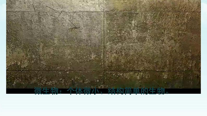 初中 生物 人教版(2024) 七年级上册(2024)第一节 微生物的分布 课件第1页