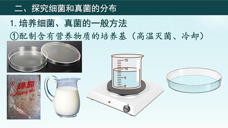 初中 生物 人教版(2024) 七年级上册(2024)第一节 微生物的分布 课件第5页