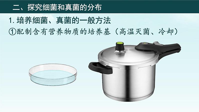 初中 生物 人教版(2024) 七年级上册(2024)第一节 微生物的分布 课件第6页