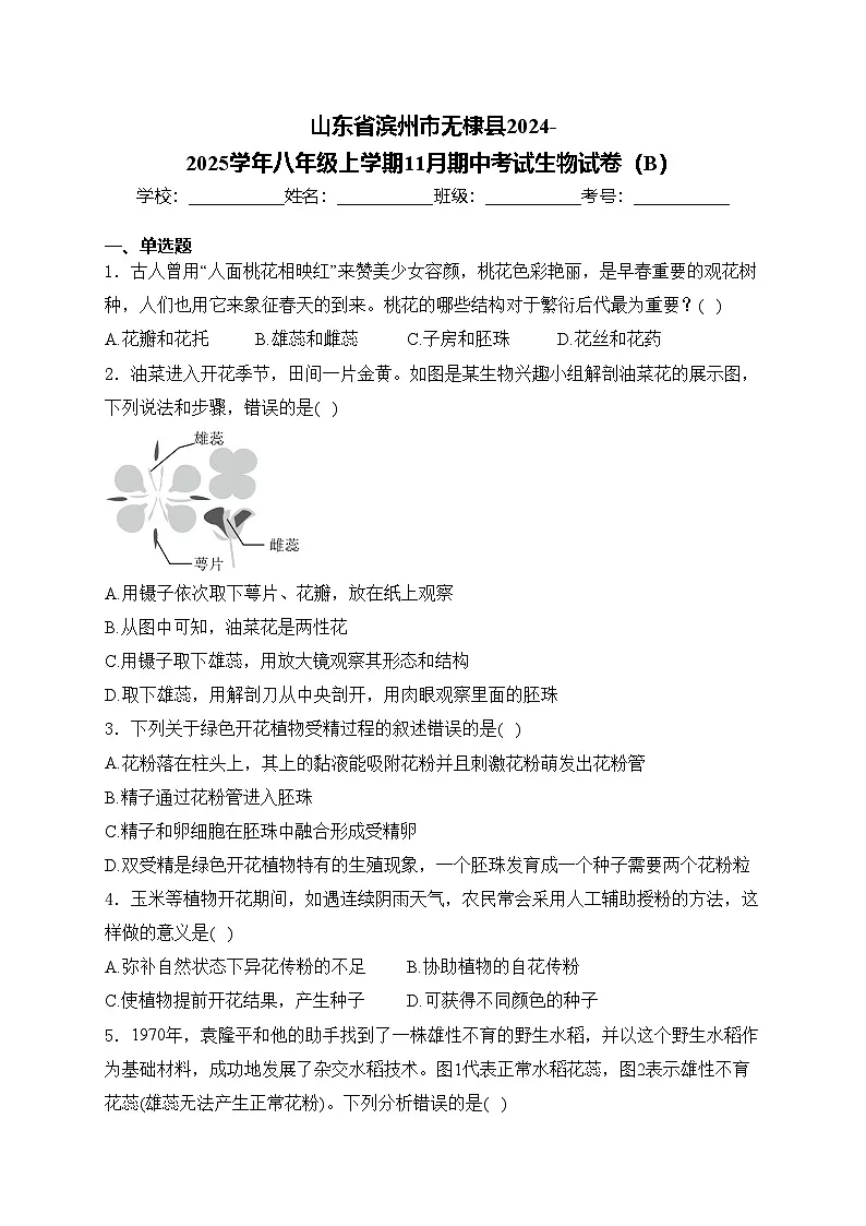 山东省滨州市无棣县2024-2025学年八年级上学期11月期中考试生物试卷(B)(含答案)第1页