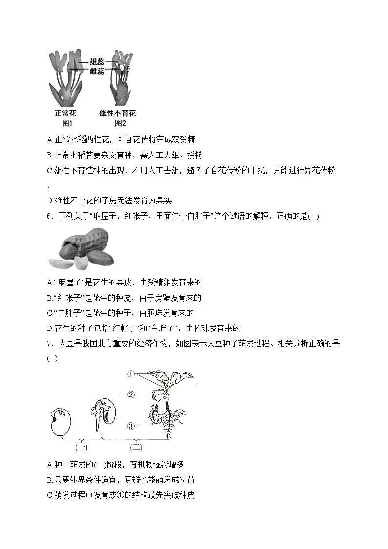 山东省滨州市无棣县2024-2025学年八年级上学期11月期中考试生物试卷(B)(含答案)第2页