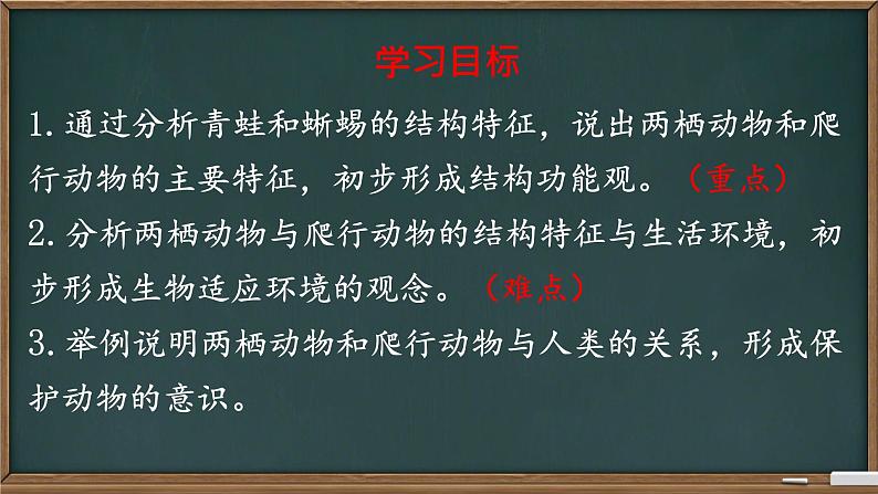 初中 生物 人教版(2024) 七年级上册(2024)第二节 脊椎动物 课件第3页