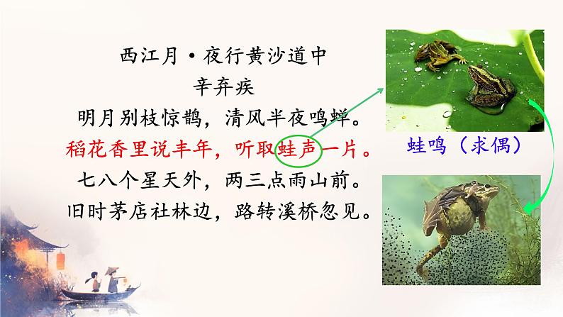 初中 生物 人教版(2024) 七年级上册(2024)第二节 脊椎动物 课件第4页