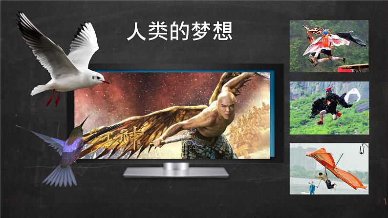 初中 生物 人教版(2024) 七年级上册(2024)第二节 脊椎动物 课件第6页
