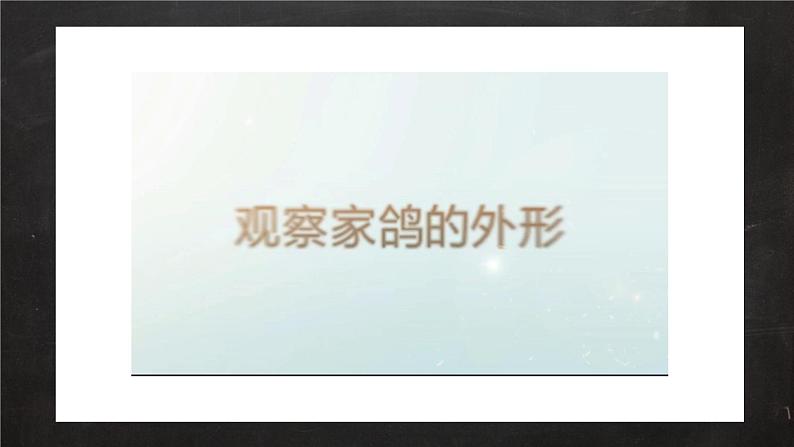 初中 生物 人教版(2024) 七年级上册(2024)第二节 脊椎动物 课件第7页