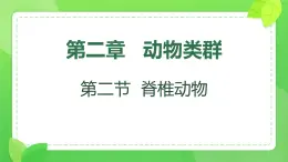 初中  生物  人教版（2024）  七年级上册（2024）第二节 脊椎动物 课件