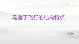 初中  生物  人教版（2024）  七年级上册（2024）第二节 脊椎动物 课件